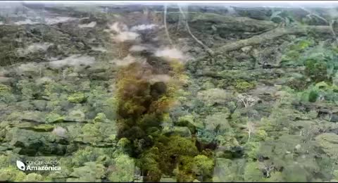 DOCUMENTAL AMAZONIA BOLIVIANA