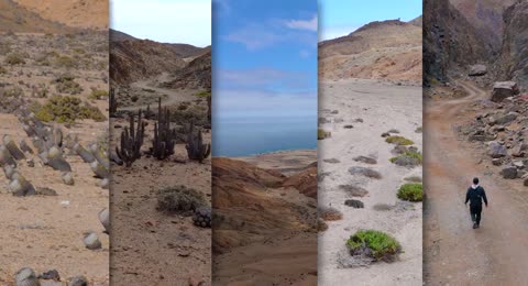 Visitamos 5 quebradas en el desierto costero de chile         