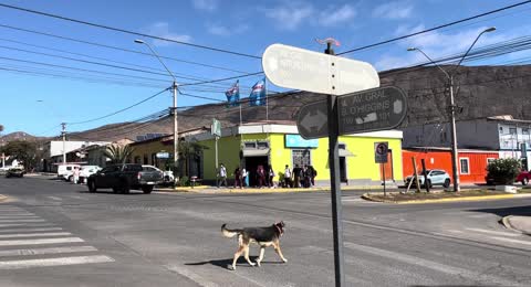 YTDown YouTube Asi Es TALTAL Norte Grande de CHILE Media ds0NaY2OVvo 001 1080p