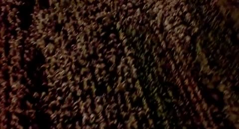 A Noite do Espantalho 1995 Dublado HD