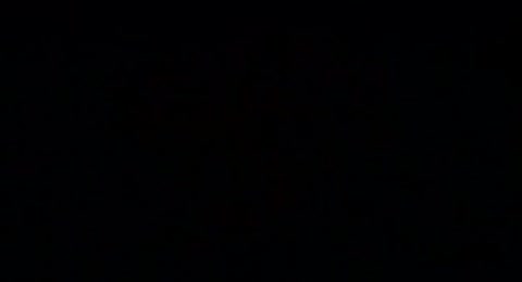 PUNHOS DE A  O   UM LUTADOR DE RUA