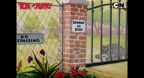 Tom   Jerry           The Craziest Cat and Mouse Mayhem             funnyvideo    compilation    cnindia