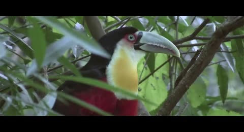 Mr  Probz   Waves  Robin Schulz Remix Radio Edit 