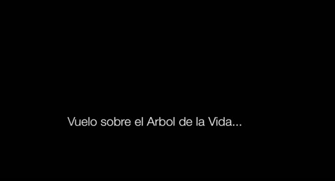 Vuelo en Paramotor sobre el Arbol de la Vida 
