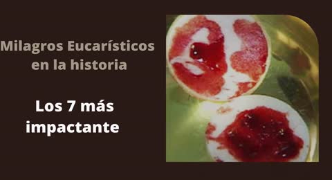 7 Milagros Eucar  sticos m  s impactante  UNO DE ELLOS TIENE COMO PROTAGONISTA AL PAPA FRANCISCO 