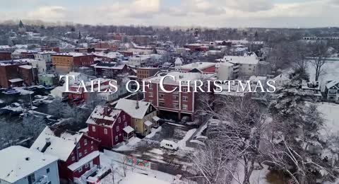 Huellas de Navidad   Nueva Pelicula Navide  a   Ash Tsai   Eric Guilmette 720P HD 