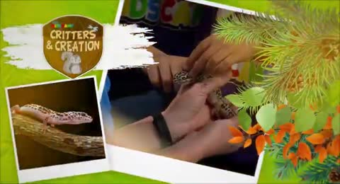 15      Ferret      3ABN Kids Camp Critters   Creation  360p 