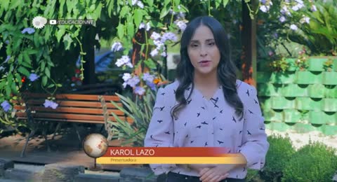 EDUCACI  N   Salud Integral  360p 