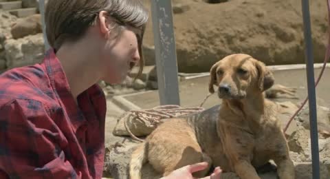 MONOS   ANIMAL ENCOUNTERS   COSTA RICA  EP17   2   Temporada   480p 