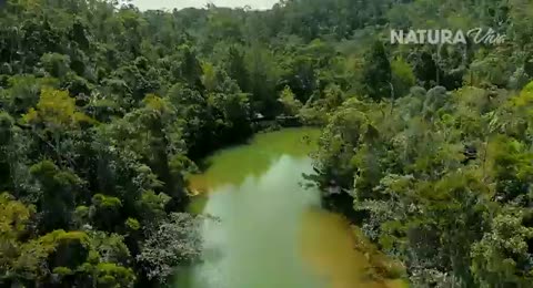 videoplayback  9 