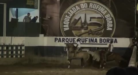 Parque Rufina Borba 2019   Categoria Profissional