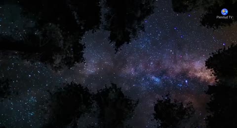 Abigail Araujo   Yo Me Rindo A   l  Video Lyric  720P Hd   Online Video Cutter Com 