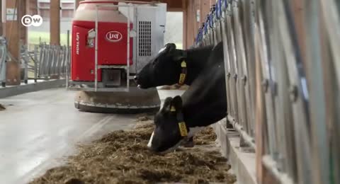 Biopl  stico  Innovaciones contra el cambio clim  tico   DW Documental