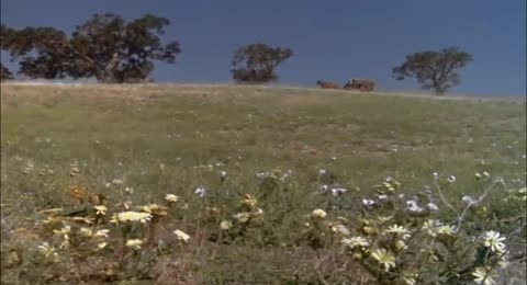 LA FAMILIA INGALLS TEMP 5 CAP 2  mp4