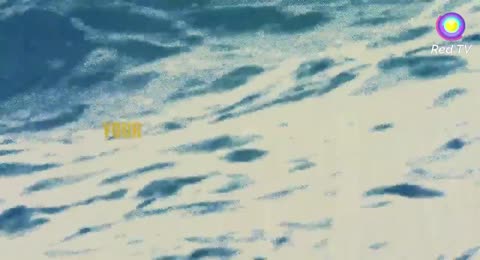 Cody Carnes   Take You At Your Word  Official Lyri