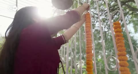De la India a Alemania   Crear un nuevo mundo con buena comida   DW Documental