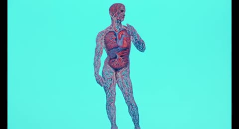 Erase Una Vez    El Cuerpo Humano   La sangre
