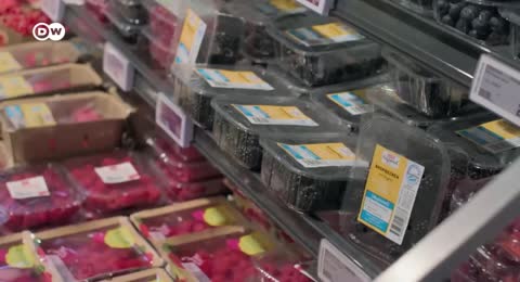 Las bayas superalimentos   regionales contra importadas   DW Documental