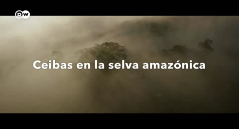 Los agricultores que protegen el suelo y nuestra seguridad alimentaria   DW Documental