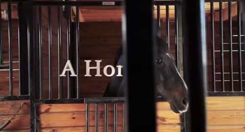 PEL  CULA EN ESPA  OL  Incre  ble pel  cula  Mejor Pel  culas de Familia   Cola de Caballo
