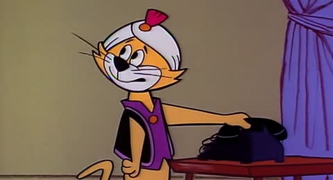 Top Cat 2