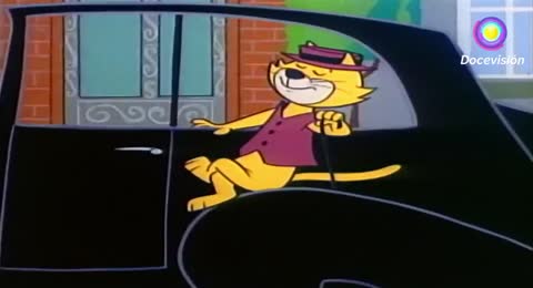 Top cat 12