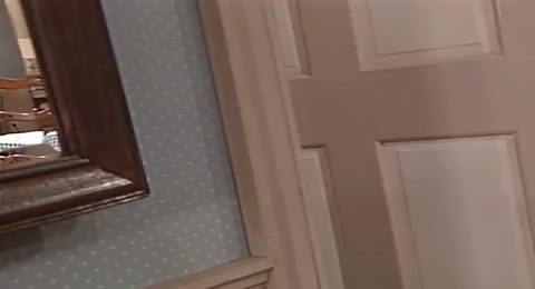 Ver la temporada 1 Cap  tulo 2 de la serie ALF online gratis 