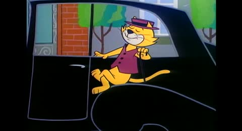 top cat 7