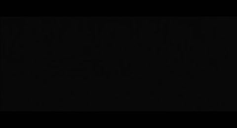 Actividades Criminales   Espa  ol Latino   HD 720p