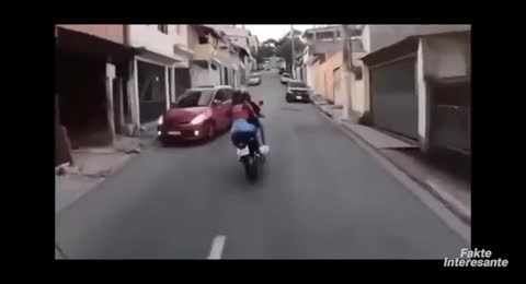 Ndjekje te Pabesueshme