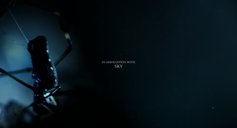 Penny Dreadful  2014  1x3