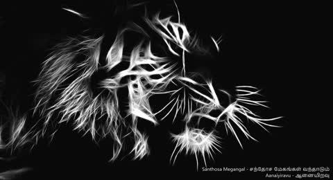 Santhosa Megangal                                                                             Eelam Songs   Eelam Music