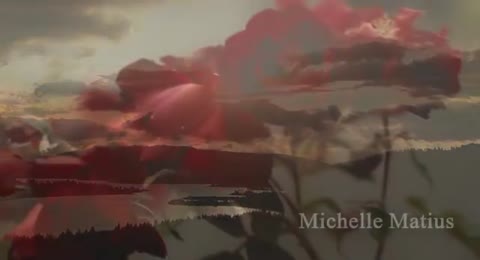Videos Musicales  2 