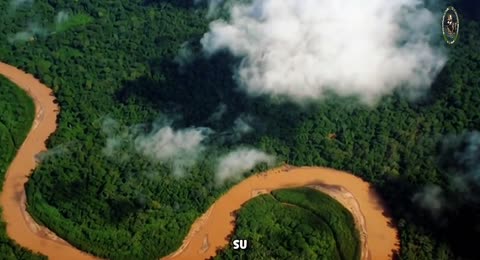 Guardianes del Manuripi La Peta de R  o