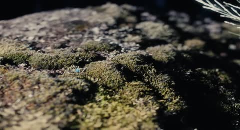 Vicco  Abraham Mateo   tequiero  Video Oficial 