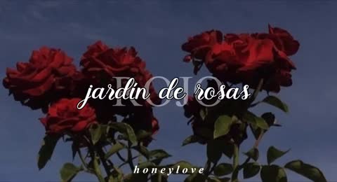 Rojo   Jard  n De Rosas    Letra