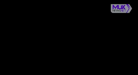 Insight  CNA  2