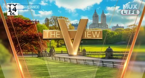 TheView 2