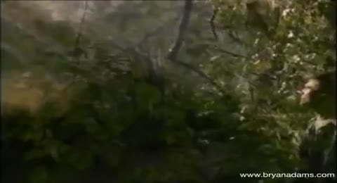 Bryan Adams    Everything I Do  I Do It For You