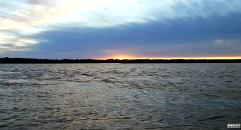 Fr David   I Surrender