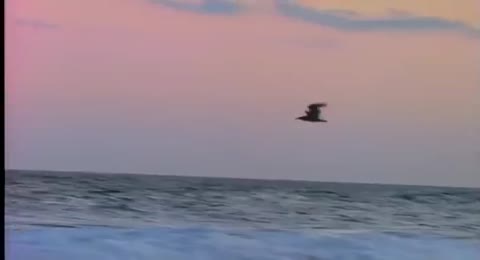 Kool  The Gang   Cherish