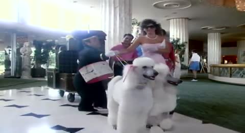 Miami Sound Machine   Bad Boy