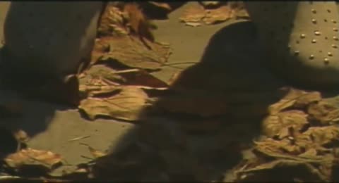 Valerie Dore   The Night