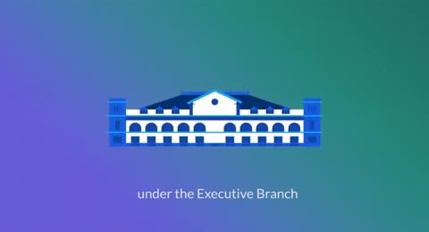 What is Freedom of Information