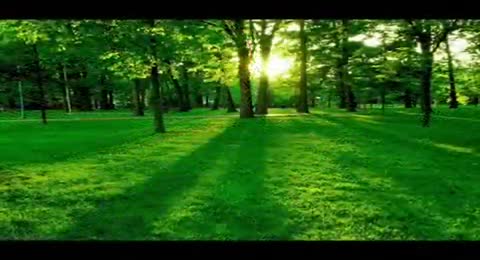 HARRY NILSSON   WITHOUT YOU TRADUZIDA