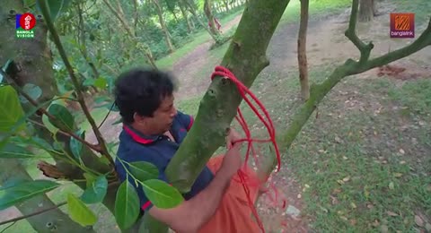 Gayebi Prem