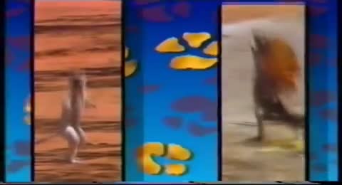WAKU WAKU