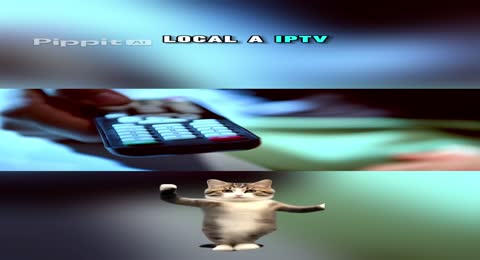 01  1 