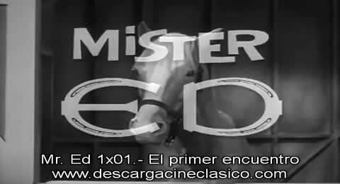 1 Mr Ed