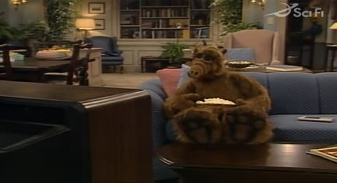 Alf Temp   2  8 